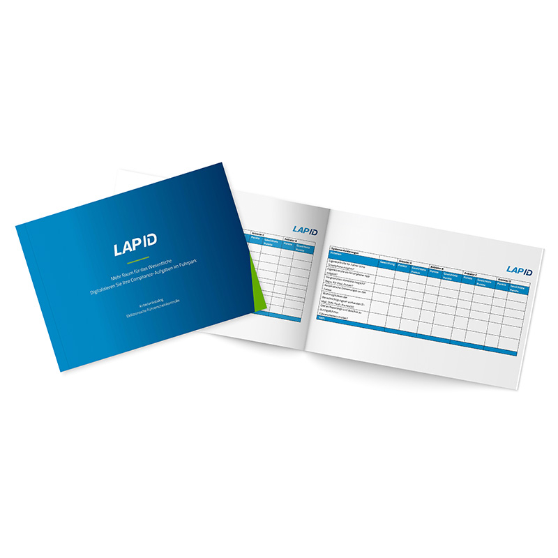 Kriterienkatalog_Führerscheinkontrolle